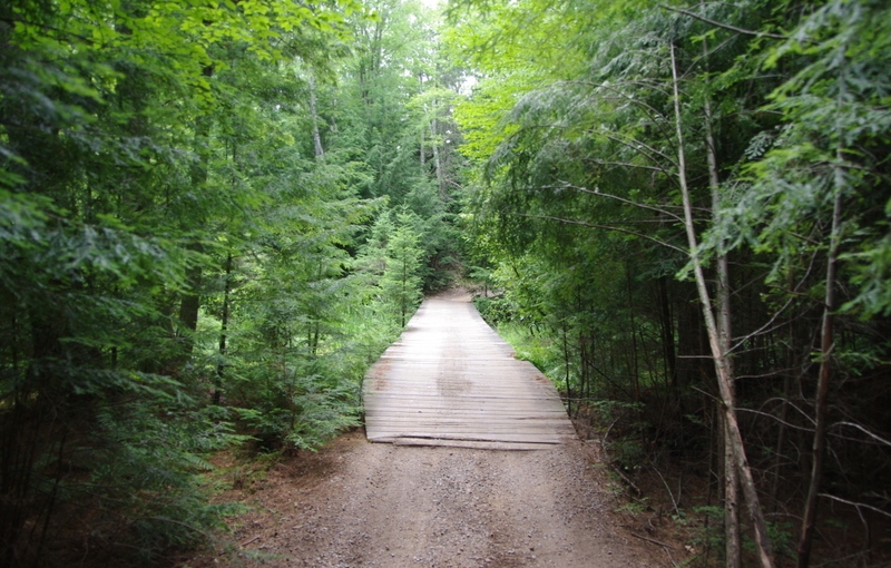 Rustic simple bridge in the woods.